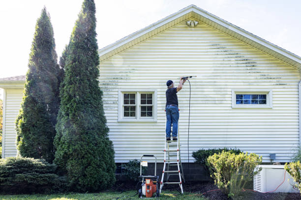 Best Graffiti Removal  in Kelly Ridge, CA